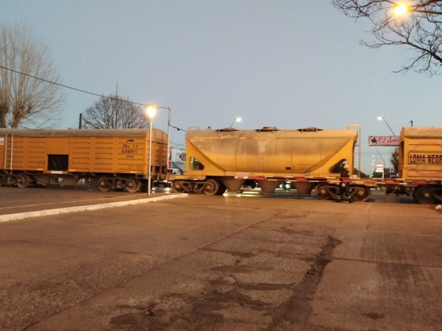 Descarrilaron seis vagones de una formacin de Ferrosur